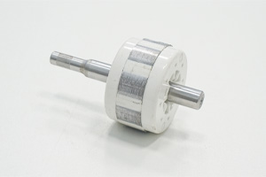 BMC motor rotor