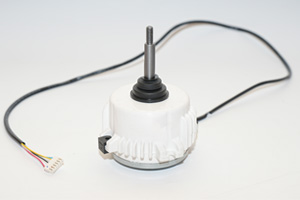 Plastic-encapsulated brushless DC motor